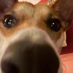 Meet your Posher, Steven